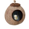 1079520801596.jpg Natural coconut shell bird nest