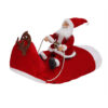 1318368845804.jpg Dog Christmas Clothes Santa Claus Riding Deer