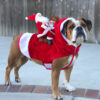 1411650639888.jpg Dog Christmas Clothes Santa Claus Riding Deer