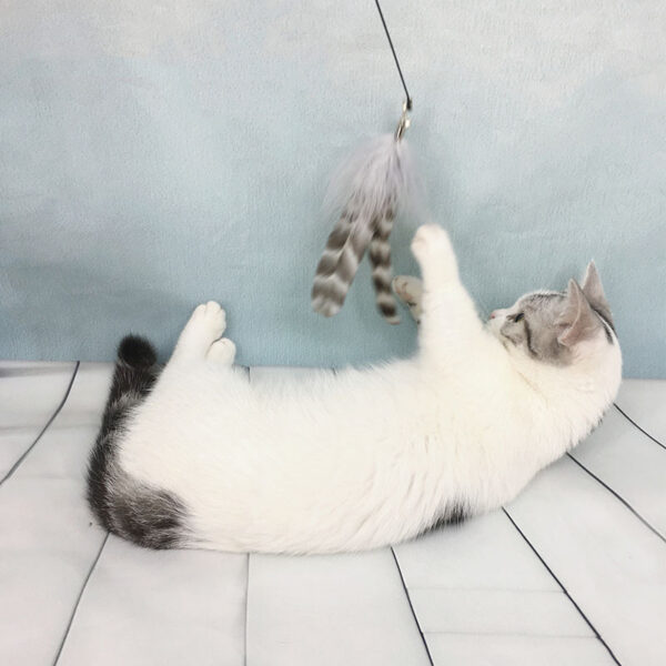 15d805d7-3236-46de-b537-c267ba4a43b8.jpg Cat Toy Wooden Handle Supplies