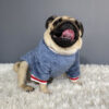 1611887471612.jpg Pet sweater