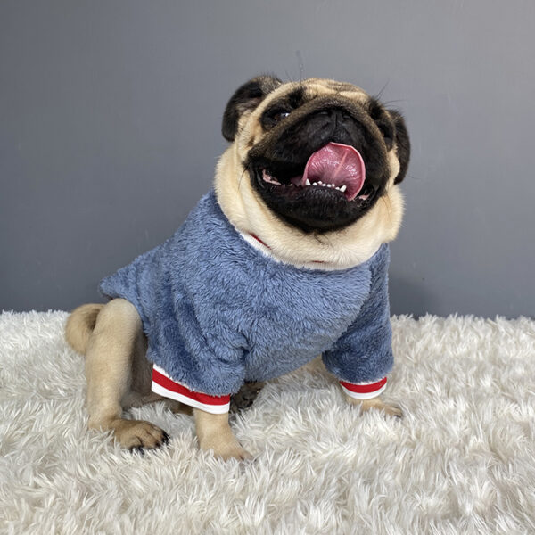 1611887471612.jpg Pet sweater