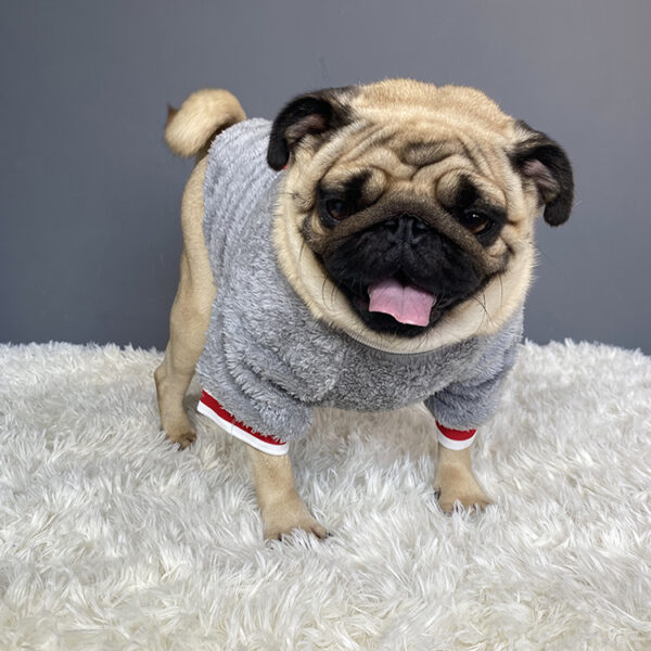 1611887471643.jpg Pet sweater
