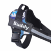 Personalize Dog Harness Dog Name
