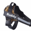 Personalize Dog Harness Dog Name