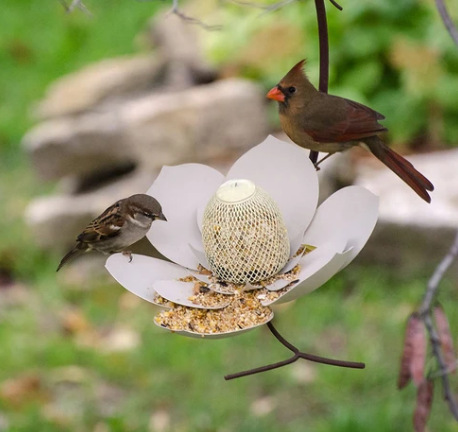 1620611011622.jpg Garden Petal Shape Bird Feeder