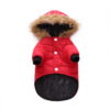 Winter clothing for pets