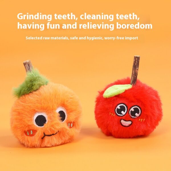 26915282-2ee9-4b82-9d9e-c4e06b1c9416_trans.jpeg Bite-resistant Molar Cat Teaser Pet Supplies