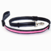 Fluorescent dog collar