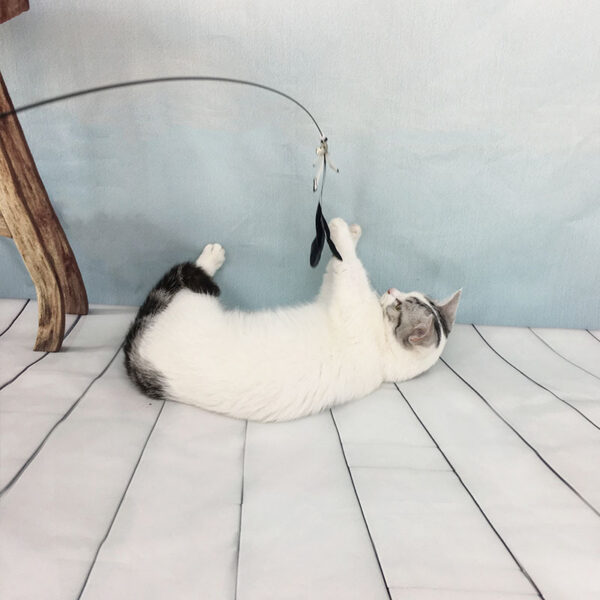 38587433-9b79-435b-8f8a-7f8d5cec3a12.jpg Cat Toy Wooden Handle Supplies