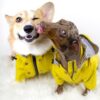 3933551924166.jpg Dog Raincoat Pet Clothes Dog Clothes Rain Water
