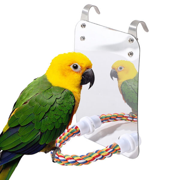 428f1d85-8608-4149-b754-f02a27c645d6.jpg Parrot Toy Acrylic Bird With Mirror