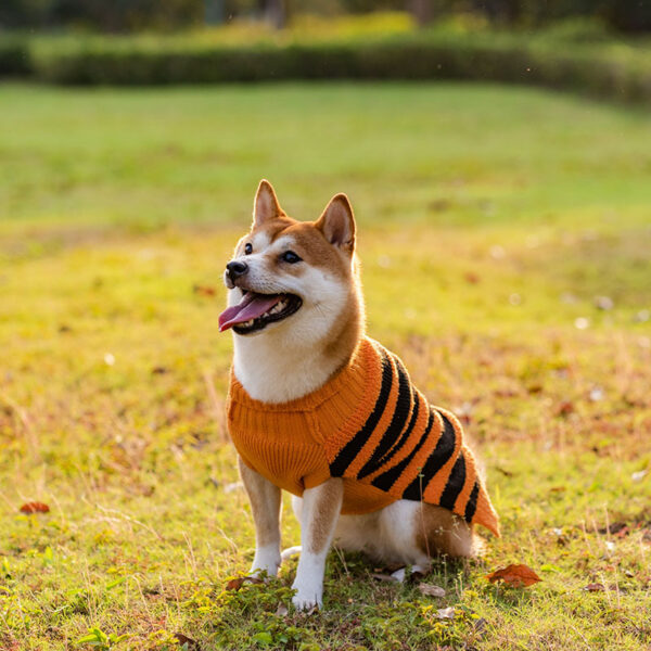 43532f91-9305-404b-a4db-38fb5f01d75f.jpg Halloween Dog Sweaters Pet Costume Teddy Warm Leisure Sweater Cosplay Clothes For Dogs Pets Outfits