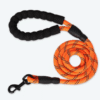 Pet Supplies Reflective Dog Leash