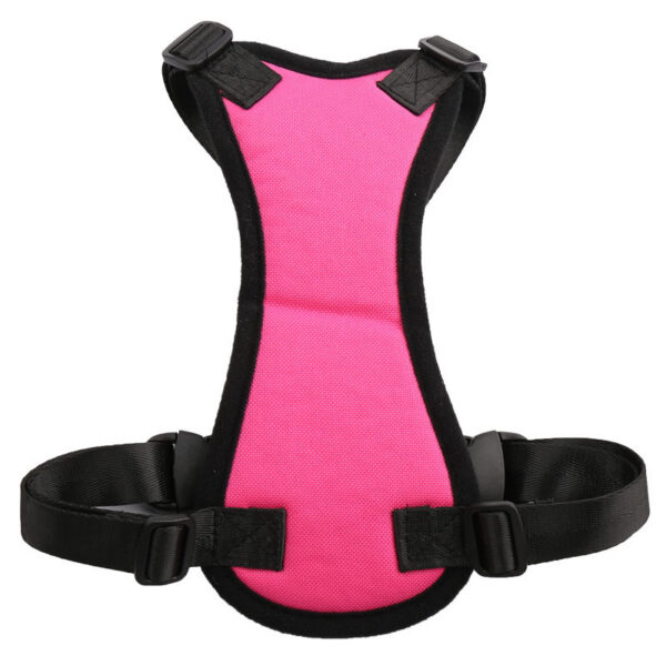 594060588132.jpg Car seat belts for pets