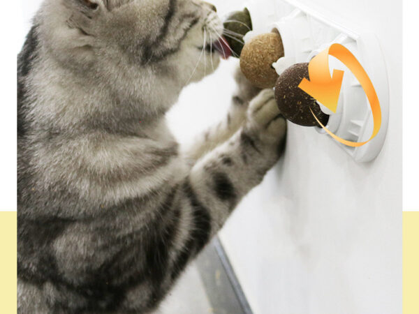 Cat Self-hey Toy Molar Supplies