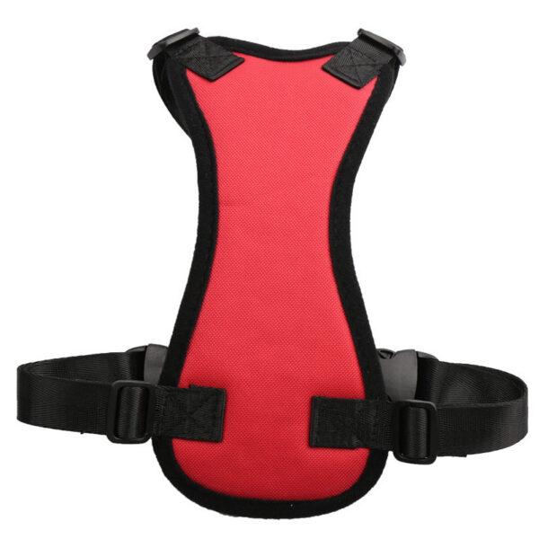 627109083581.jpg Car seat belts for pets