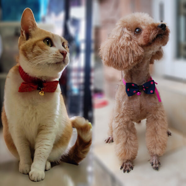 663833932605.jpg Pet accessories pet bow