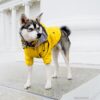 731004237818.jpg Dog Raincoat Pet Clothes Dog Clothes Rain Water