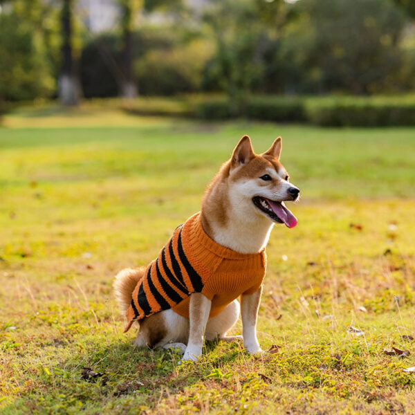 7574b69b-1048-48bf-8969-bbd72ff3d6c1.jpg Halloween Dog Sweaters Pet Costume Teddy Warm Leisure Sweater Cosplay Clothes For Dogs Pets Outfits