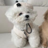 970d7ccb-e4c4-40ab-a4a7-e6390c66a15c.jpg Pet Dog Cat Accessories Knitted Hat