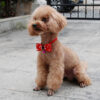 974626845546.jpg Pet accessories pet bow