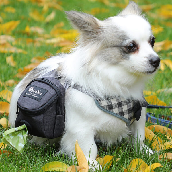 a1922a81-748e-4459-abcd-dffb13d89c1d.jpg Fashion Personality Pet Supplies Dog Bag