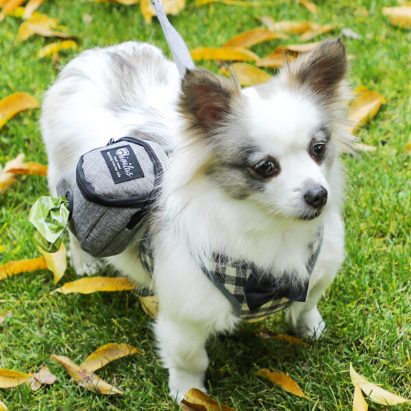 b1dd8247-8caf-455c-8fb7-2afaf50deb05.jpg Fashion Personality Pet Supplies Dog Bag