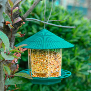 cffe59c7-f020-4acf-8955-c14d14d38493.jpg Outdoor Garden Hanging Transparent Bird Feeder