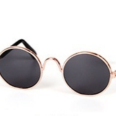 eff9a21e-7688-4e99-8835-8a304b20ebe7_fine.jpeg Pet Glasses Cat Sunglasses Pet Accessories Cat Glasses